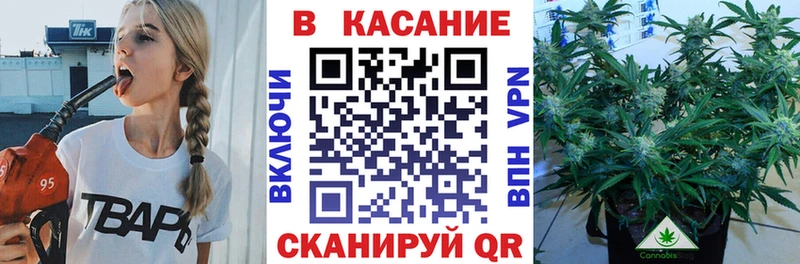 Что такое Жиздра МАРИХУАНА  КОКАИН  ссылка на мегу tor  АМФЕТАМИН  Гашиш  А ПВП 