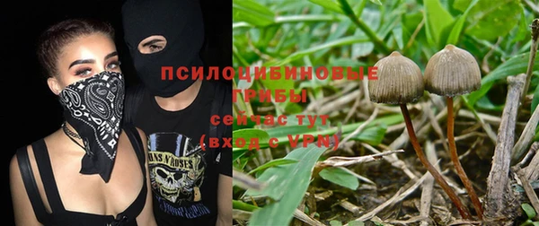 мдпв Гусиноозёрск