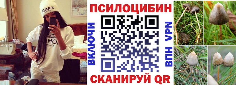 blacksprut ONION  Жиздра  Галлюциногенные грибы Magic Shrooms  закладки 